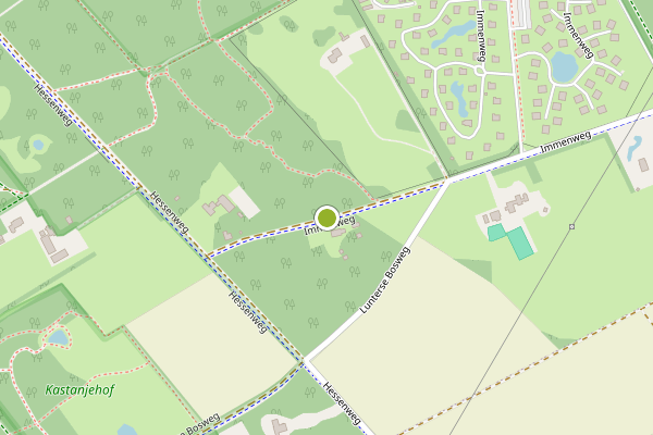 Ambulance-melding op Immenweg, Ede op 13 juni, kaart-overzicht