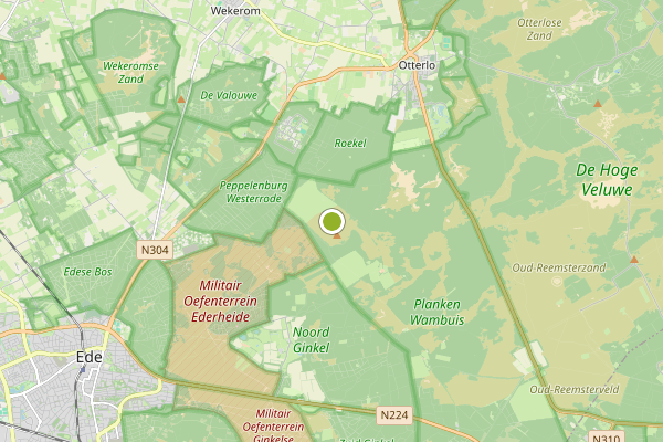 Ambulance-melding op Ede op 22 juni, kaart-overzicht